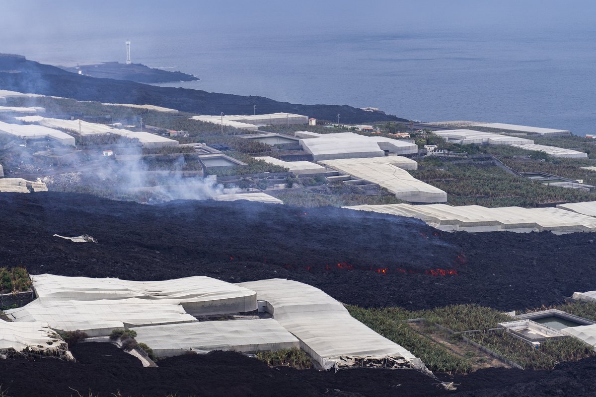 A lava flow snaking through farmland towards the sea. A broad black area of cooled lava flow is seen, and in the middle of the top of this there is a stepped area with orange edges, which is a new active lava flow over-topping the previously cooled flow.