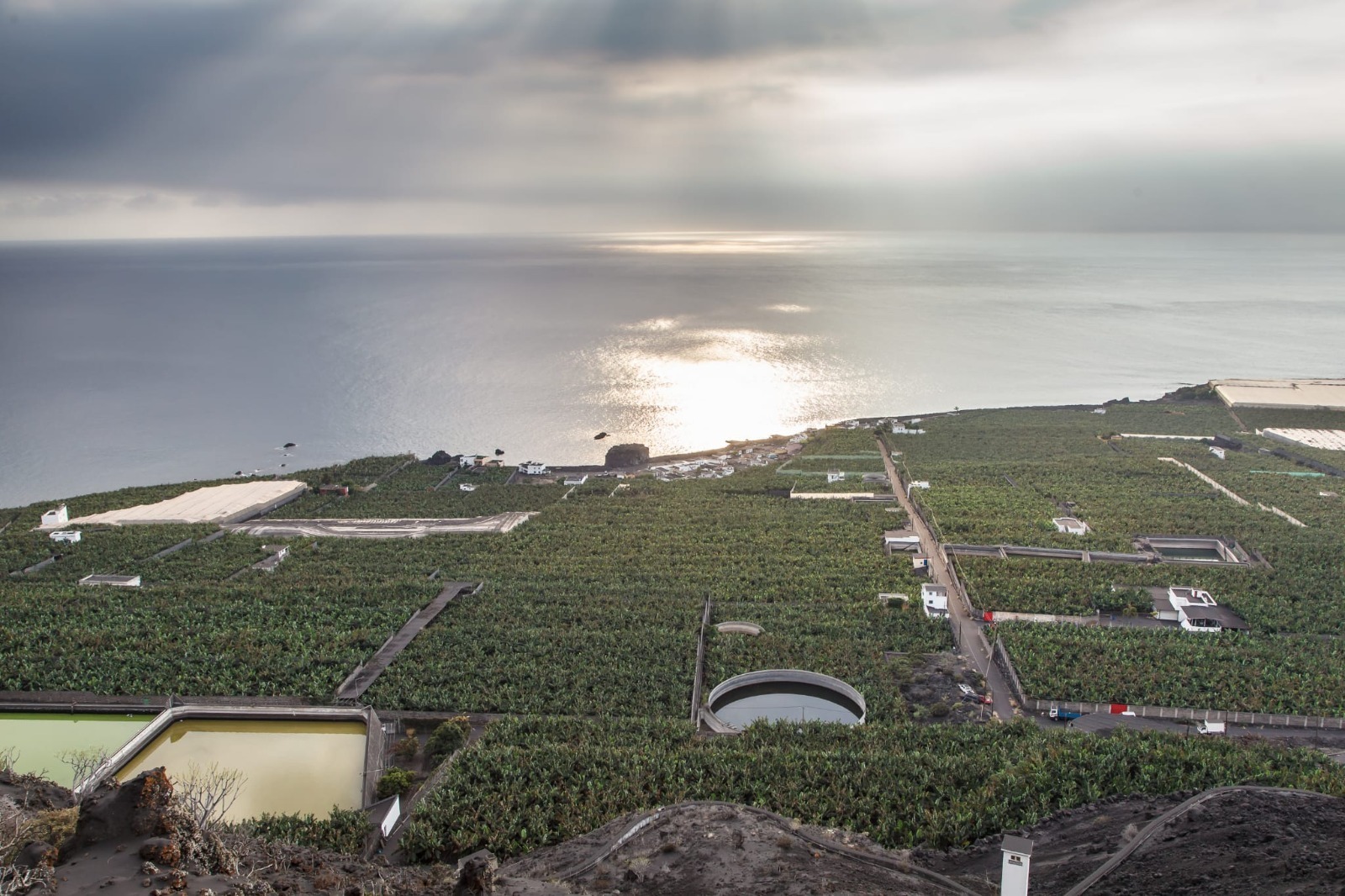 This photo shows unaffected banana plantations along the coast which grow upon old lava deltas from previous eruptions. Sourced from Gobierno de Canaraias (2022).