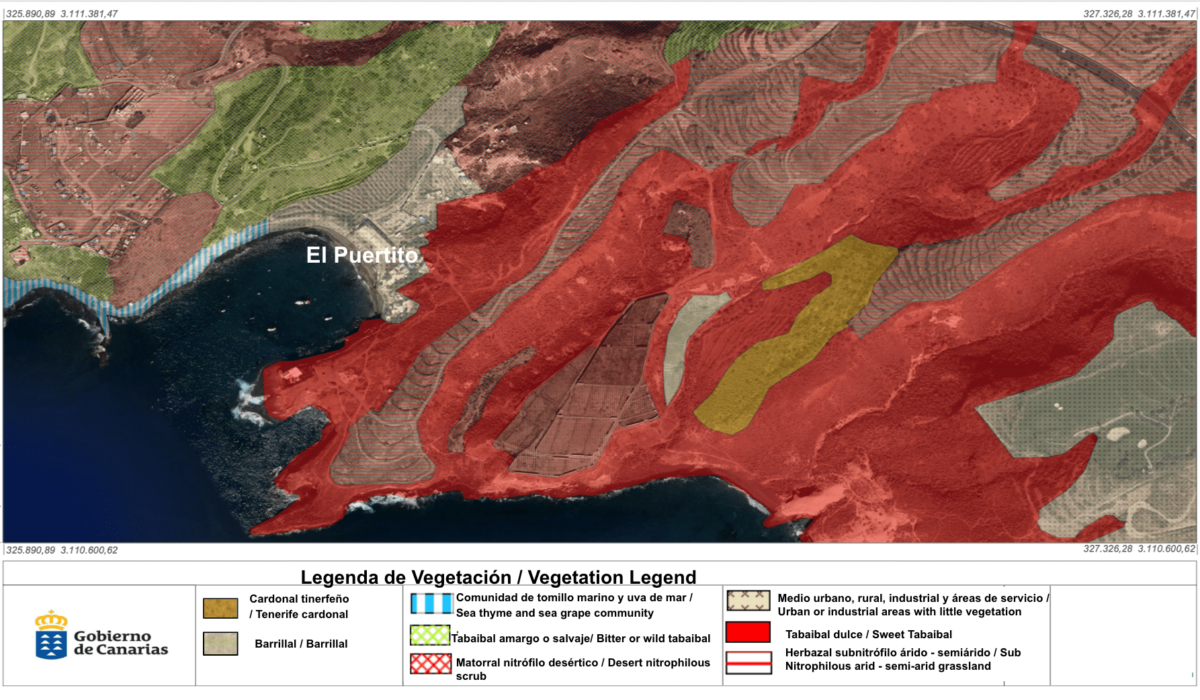 Figure 19. Vegetation map of El Puertito and the surrounding area. Legend is in both Spanish and English. Adapted from IDE Canarias (2023).