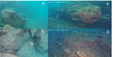 Figure 18. Puerto Colòn (A and C) and El Puertito de Adeje (B and D) rock coast and surface comparison. Authors: Silvia Paglia & Laurence Lane