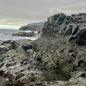 IMG_9668